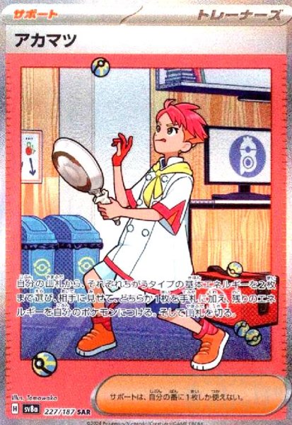 画像1: アカマツ(227/187 SAR) (1)