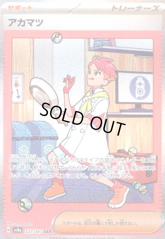 画像1: アカマツ(227/187 SAR) (1)