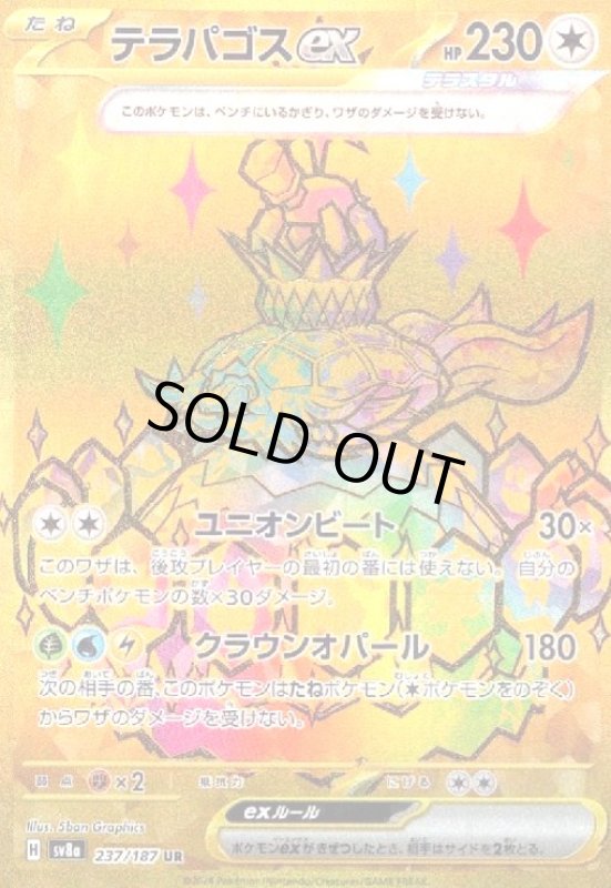画像1: テラパゴスex(237/187 UR) (1)