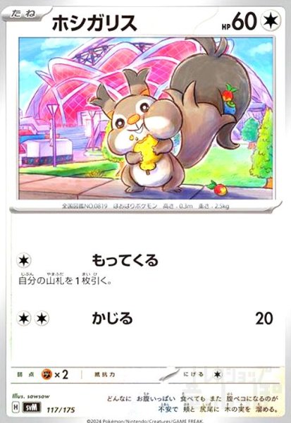 画像1: ホシガリス(もってくる/かじる) (1)