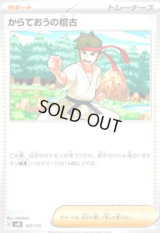 画像1: からておうの稽古(147/175) (1)