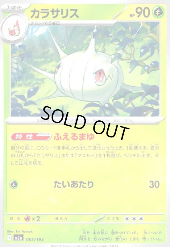 画像1: カラサリス(ふえるまゆ/たいあたり) (1)