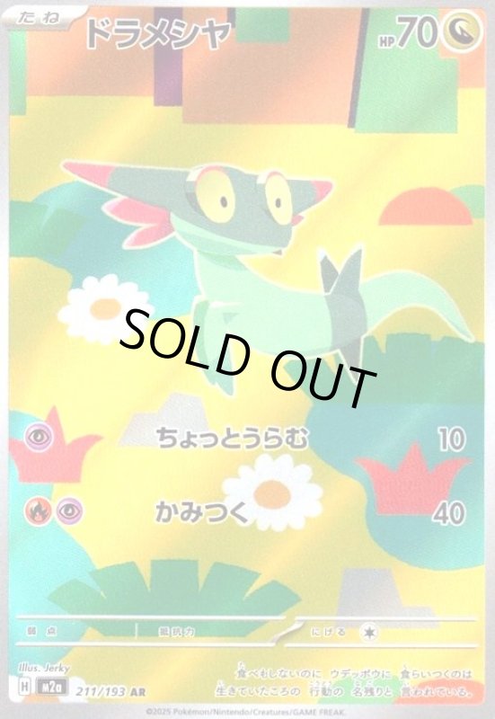 画像1: ドラメシヤ(AR)(211/193) (1)