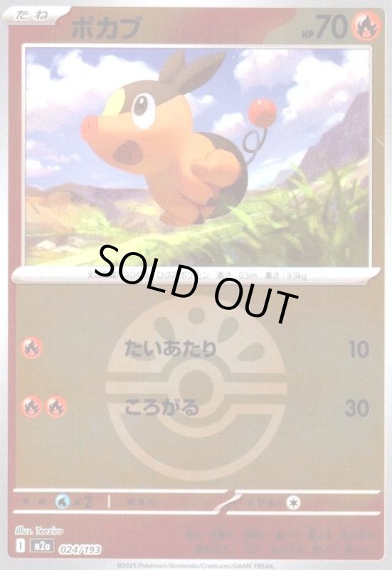 画像1: ポカブ(ミラー)(024/193)【ボール柄】 (1)