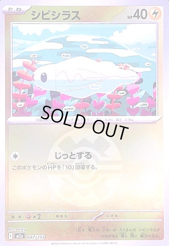 画像1: シビシラス(ミラー)(047/193)【ボール柄】 (1)