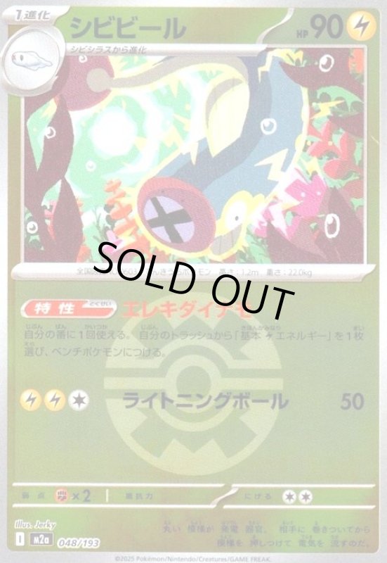 画像1: シビビール(ミラー)(048/193)【ボール柄】 (1)