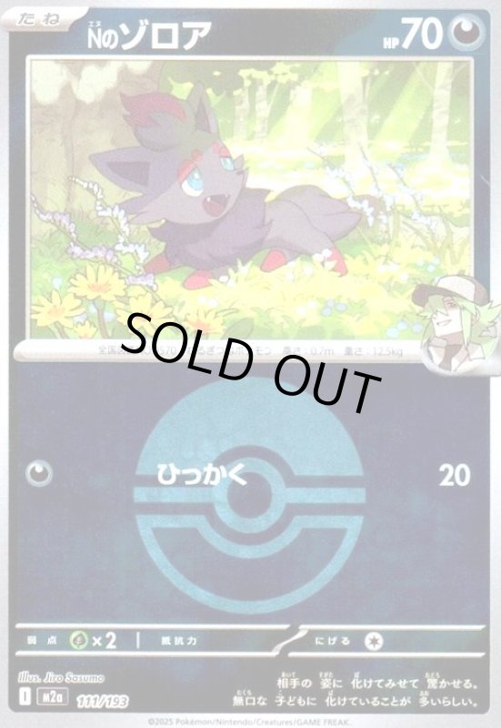 画像1: Nのゾロア(ミラー)(111/193)【ボール柄】 (1)