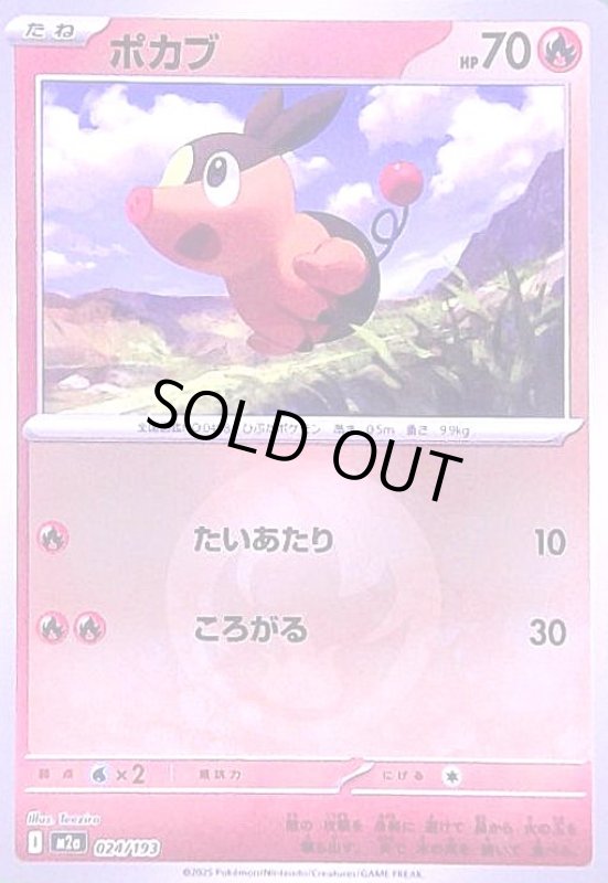 画像1: ポカブ(ミラー)(024/193)【エネルギーマーク柄】 (1)