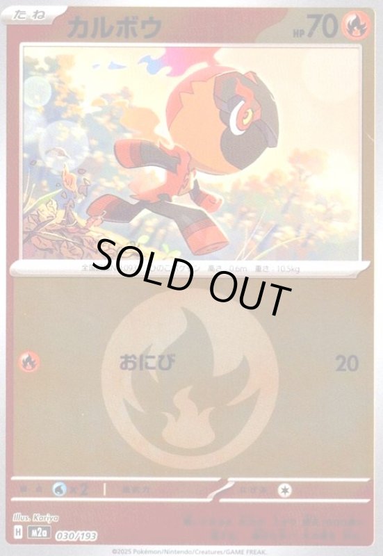 画像1: カルボウ(ミラー)(030/193)【エネルギーマーク柄】 (1)