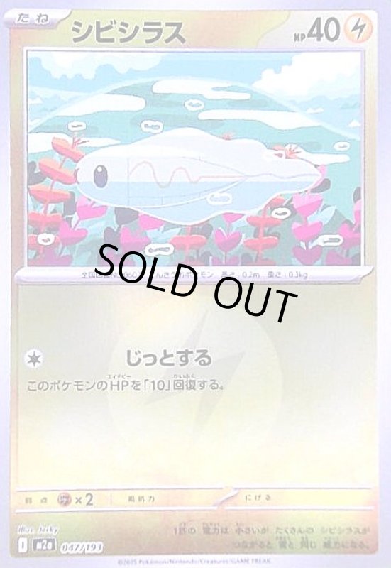 画像1: シビシラス(ミラー)(047/193)【エネルギーマーク柄】 (1)