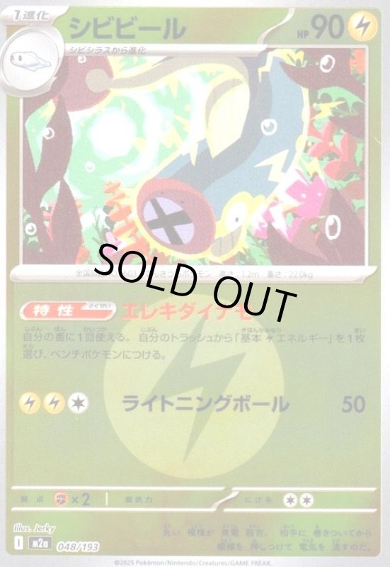 画像1: シビビール(ミラー)(048/193)【エネルギーマーク柄】 (1)