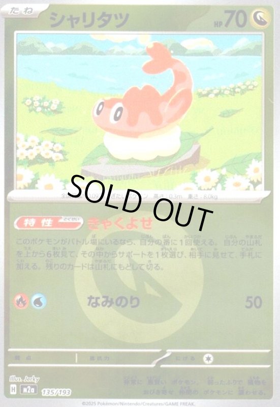 画像1: シャリタツ(ミラー)(135/193)【エネルギーマーク柄】 (1)