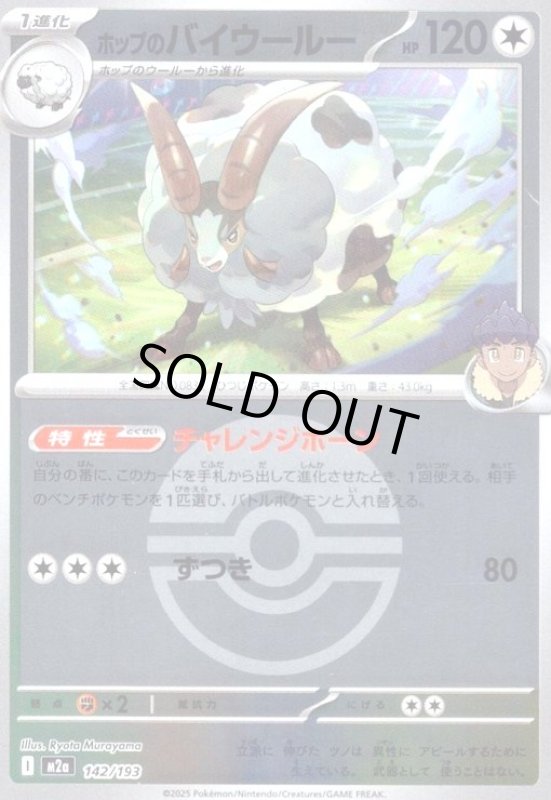 画像1: ホップのバイウールー(ミラー)(142/193)【ボール柄】 (1)