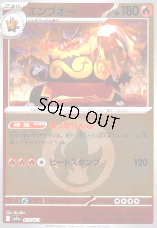 画像1: エンブオー(ミラー)(026/193)【エネルギーマーク柄】 (1)