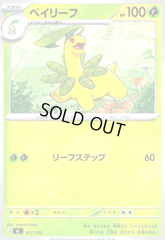 画像1: ベイリーフ(ホイル)(017/742) (1)