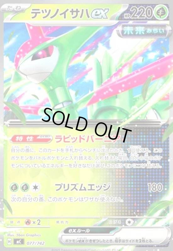 画像1: テツノイサハex (1)