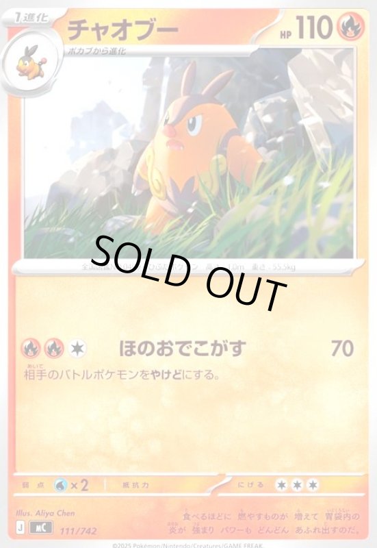 画像1: チャオブー(ほのおでこがす) (1)