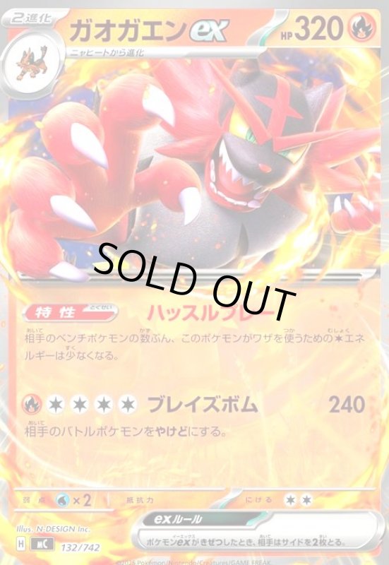 画像1: ガオガエンex (1)