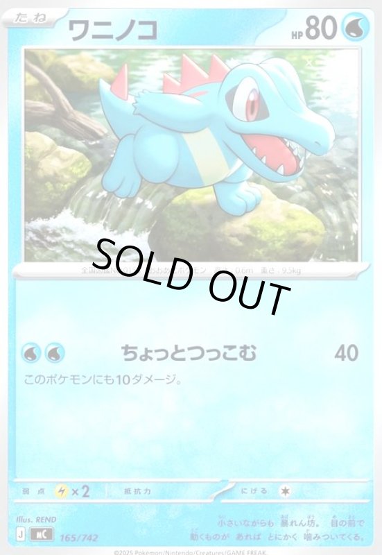 画像1: ワニノコ(ホイル)(165/742) (1)