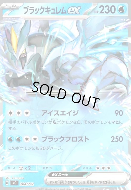 画像1: ブラックキュレムex(ホイル)(204/742) (1)