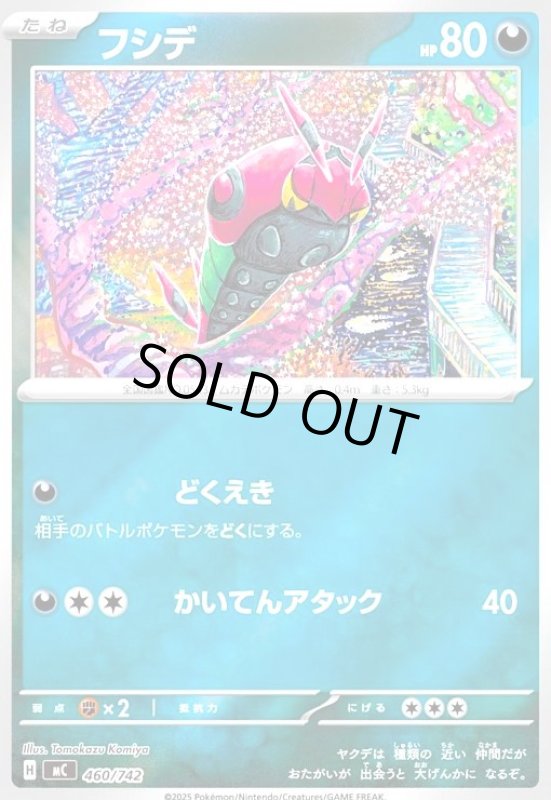 画像1: フシデ(ホイル)(460/742) (1)