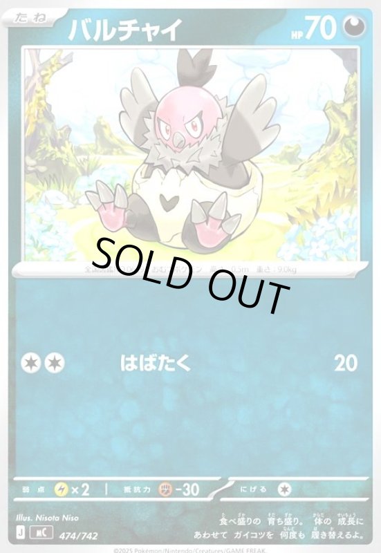 画像1: バルチャイ(はばたく) (1)