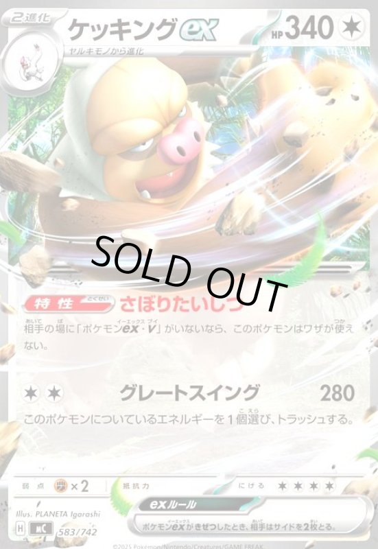 画像1: ケッキングex (1)