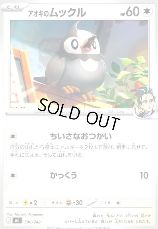 画像1: アオキのムックル(ちいさなおつかい/かっくう) (1)