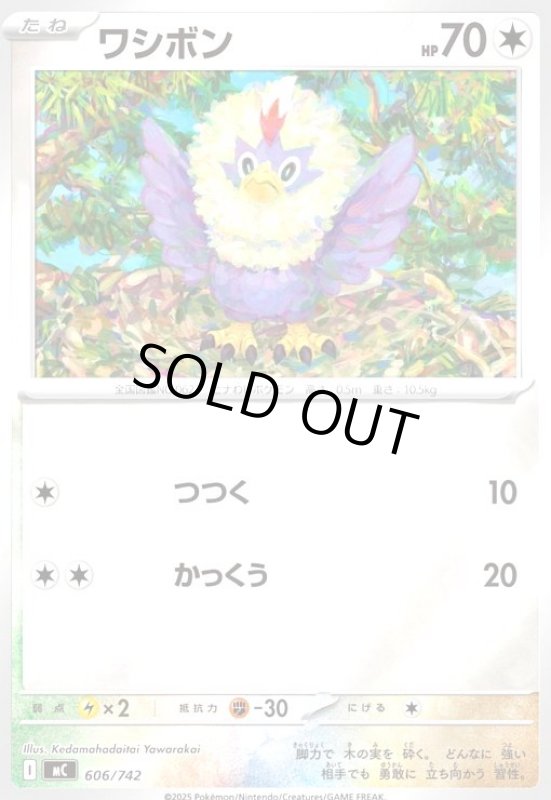 画像1: ワシボン(ホイル)(606/742) (1)