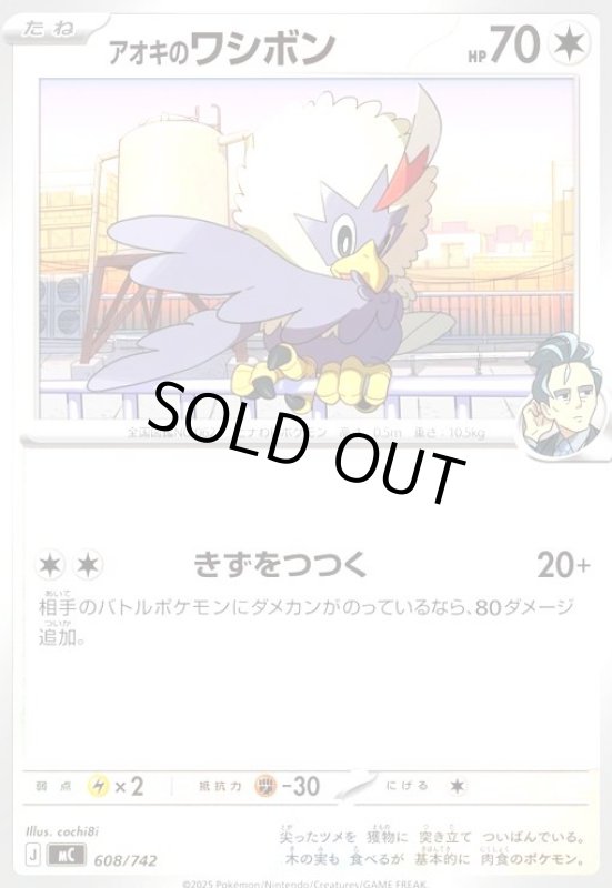 画像1: アオキのワシボン(きずをつつく) (1)