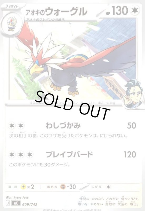 画像1: アオキのウォーグル(わしづかみ/ブレイブバード) (1)