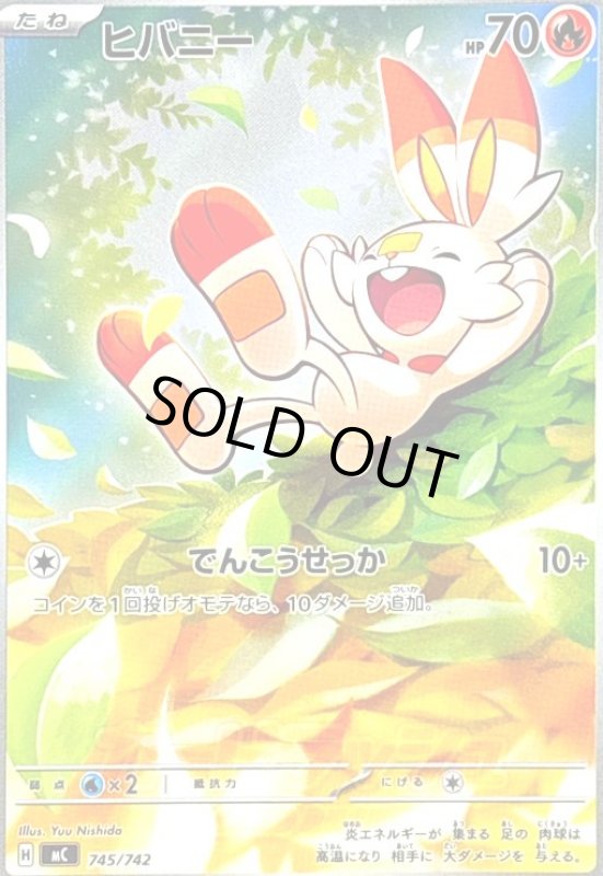 画像1: ヒバニー(AR仕様)(745/742) (1)