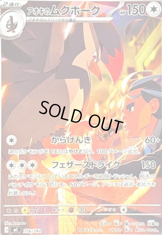 画像1: アオキのムクホーク(AR仕様)(756/742) (1)