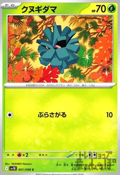 画像1: クヌギダマ(ぶらさがる) (1)
