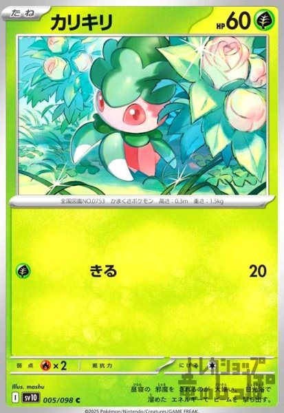 画像1: カリキリ(きる) (1)