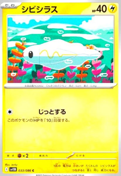 画像1: シビシラス(じっとする) (1)