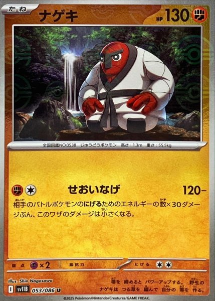 画像1: ナゲキ(053/086)(ミラー/モンスターボール) (1)