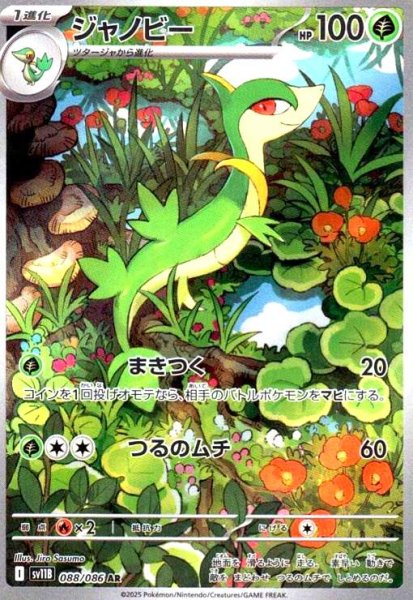 画像1: ジャノビー(088/086 AR) (1)