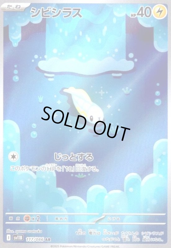 画像1: シビシラス(117/086 AR) (1)