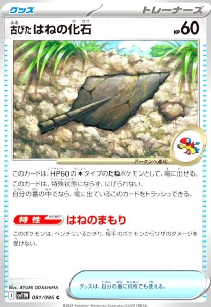 画像1: 古びたはねの化石 (1)