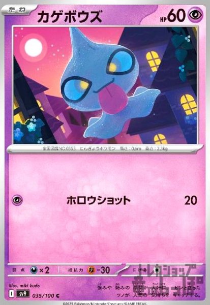 画像1: カゲボウズ(ホロウショット) (1)