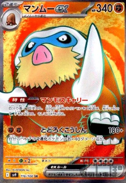 画像1: マンムーex(116/100 SR) (1)