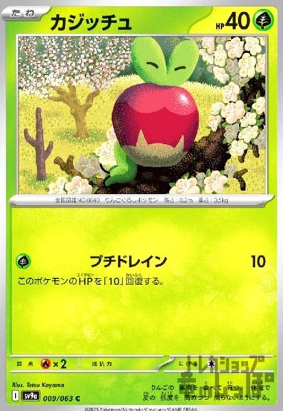 画像1: カジッチュ(プチドレイン) (1)