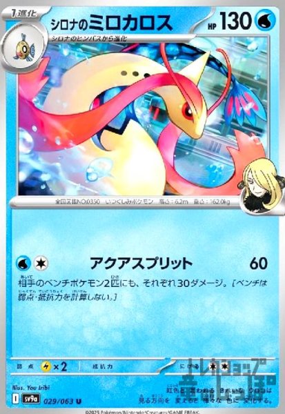 画像1: シロナのミロカロス(アクアスプリット) (1)