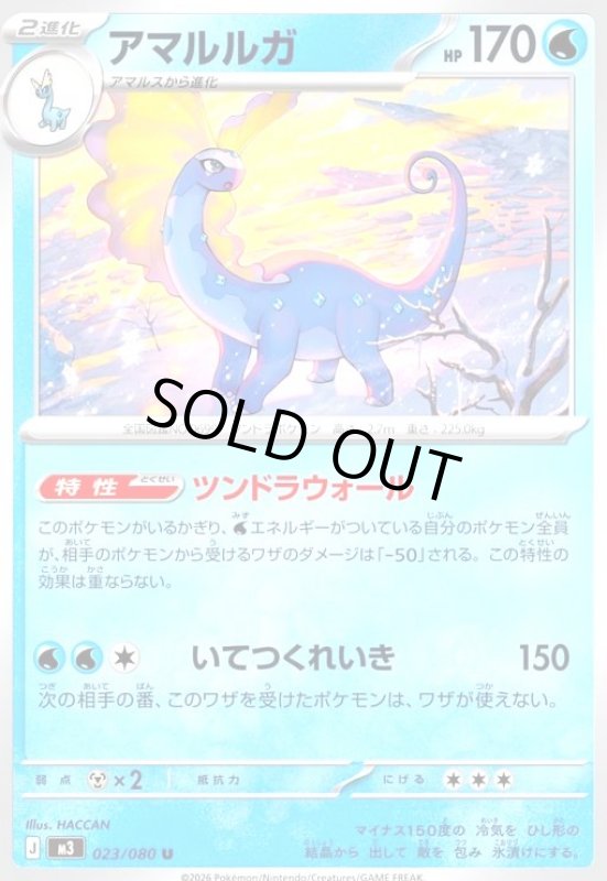 画像1: アマルルガ(ツンドラウォール/いてつくれいき) (1)