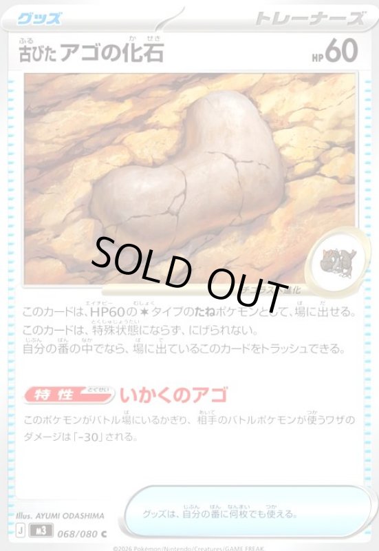 画像1: 古びたアゴの化石 (1)