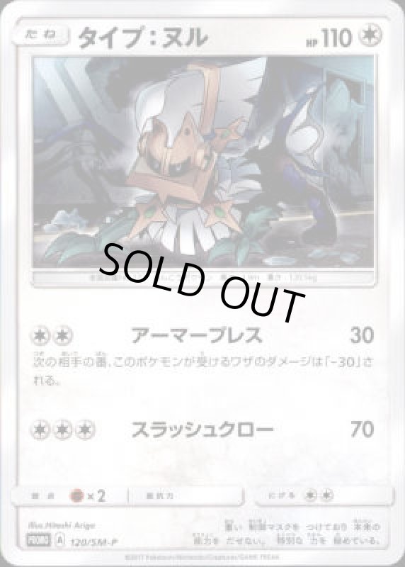 画像1: タイプヌル【120/SM-P】 (1)