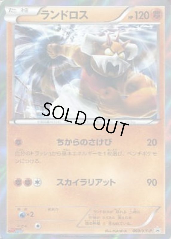 画像1: ランドロス【060/XY-P】 (1)