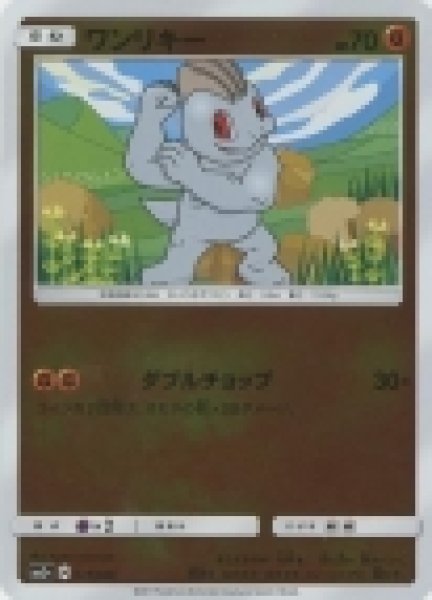 画像1: ワンリキー (1)