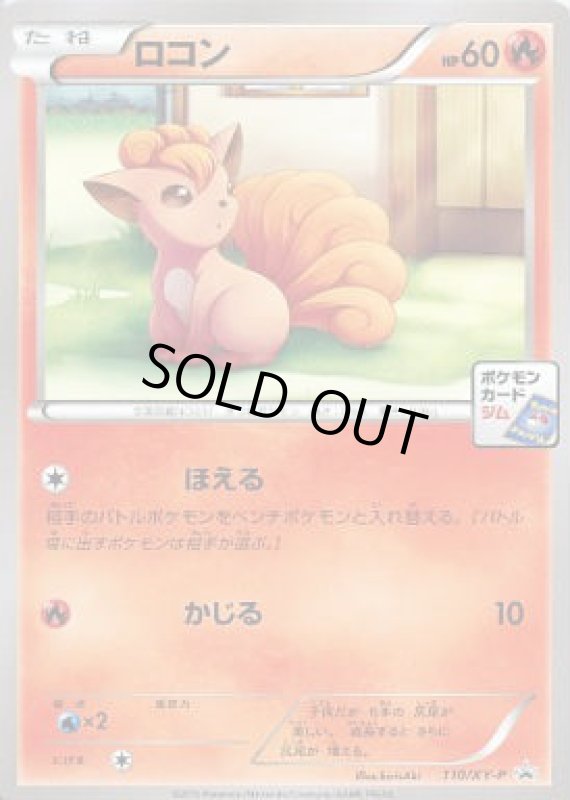 画像1: ロコン【110/XY-P】 (1)